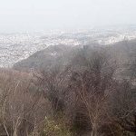 高尾山の駐車場は混雑必至!無料駐車場に停めて行くのもあり?