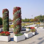 【天王寺公園】てんしばのアクセス&周辺の駐車場!料金の安いとこは?