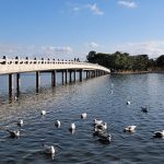 大濠公園・舞鶴公園・西公園・福岡市美術館の駐車場を紹介!