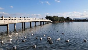 大濠公園・舞鶴公園・西公園・福岡市美術館の駐車場を紹介!