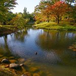 札幌中島公園・キタラ周辺の駐車場!最大料金の安い駐車場6選!
