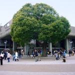 東京文化会館のアクセス&周辺の駐車場!予約できる安いとこは?
