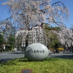 上野恩賜公園のアクセス&周辺の駐車場!予約できる安いとこは?