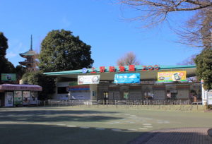 上野動物園のアクセス&周辺の駐車場!予約できる安いとこは?