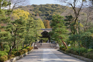 【京都】東本願寺・大谷祖廟の駐車場！場所・時間・料金は？