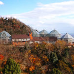 神戸市立布引ハーブ園のアクセス&駐車場!料金はいくら?