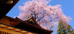 榴岡天満宮の駐車場の料金は無料？周辺の予約できる安いとこは？