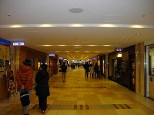 東京駅八重洲パーキング！地下街の駐車場の料金は？無料割引はある？