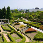 【姫路市】手柄山中央公園の駐車場!営業時間は?料金は安い?