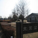 大宮公園のアクセス&周辺の駐車場!混雑や安い・無料のおすすめは?