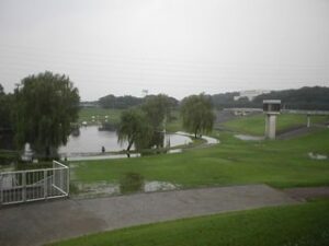 大宮第二・第三公園の駐車場!営業時間や料金、混雑状況は?