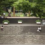 新宿中央公園のアクセス&周辺の駐車場!ファミレス利用で無料?