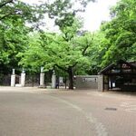 井の頭自然文化園周辺の駐車場!井の頭公園の駐車場が近くて安い?